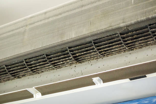 Best Residential Air Duct Cleaning  in Layton, UT
